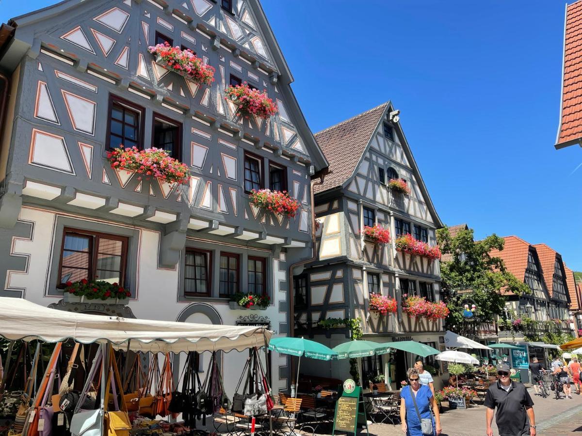 Gaestehaus Klingler Besigheim Esterno foto